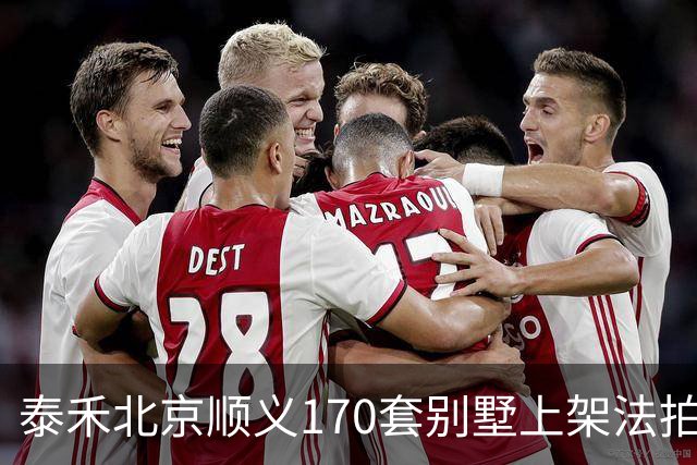 泰禾北京顺义170套别墅上架法拍 起拍价10.90亿元