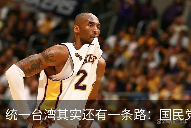 统一台湾其实还有一条路：国民党依法公布，我军无需战争只需平暴